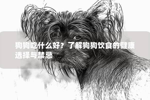 狗狗吃什么好？了解狗狗饮食的健康选择与禁忌