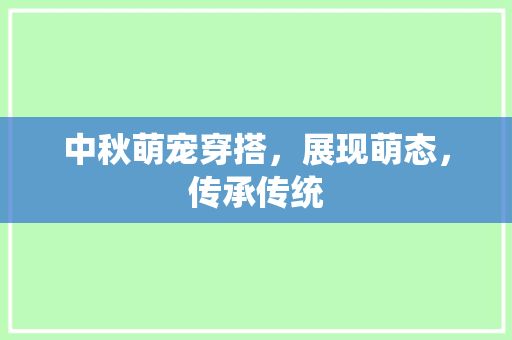 中秋萌宠穿搭，展现萌态，传承传统