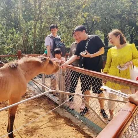 萌宠乐园小狗大集合，可爱狗狗图片大全及互动问答