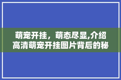 萌宠开挂，萌态尽显,介绍高清萌宠开挂图片背后的秘密
