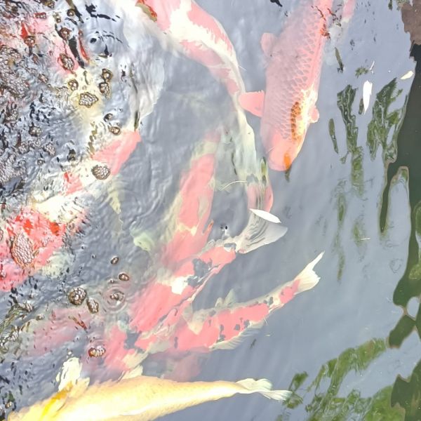 店主头像