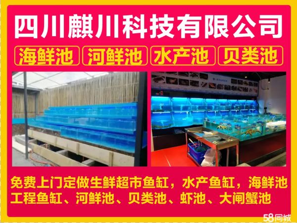 店主头像