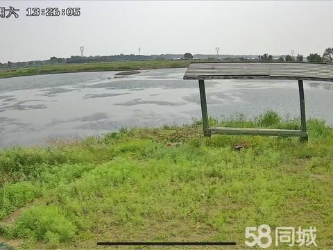 沈阳水产·胡台镇出租鱼塘