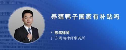养殖鸭子国家有补贴吗
