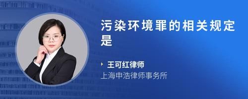 污染环境罪的相关规定是