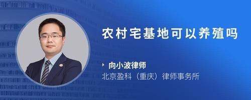 农村宅基地可以养殖吗