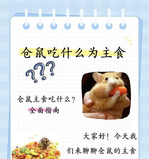 一线仓鼠是什么意思？（探索一线仓鼠的生活方式和习性，了解它们的行为特点）