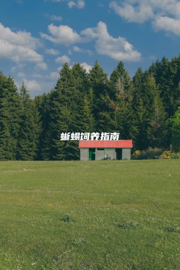 蜥蜴饲养指南