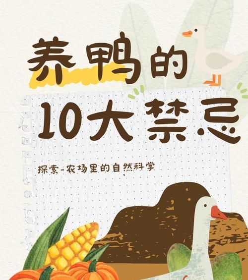 鸭子误食猫粮该如何处理？如何防止鸭子吃猫粮？