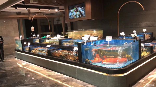 店主头像
