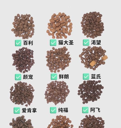 除了猫粮还能喂什么给猫咪？有哪些替代食物？