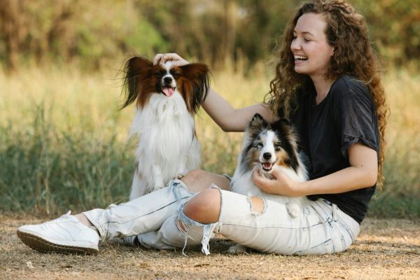 小型犬品种