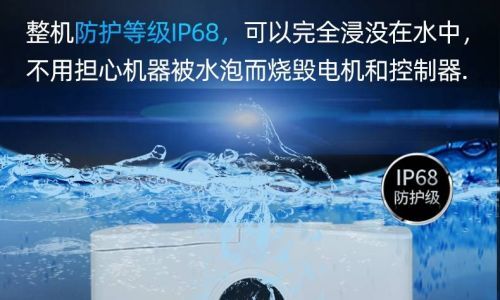 关于家庭养鱼有哪些必备常识技巧