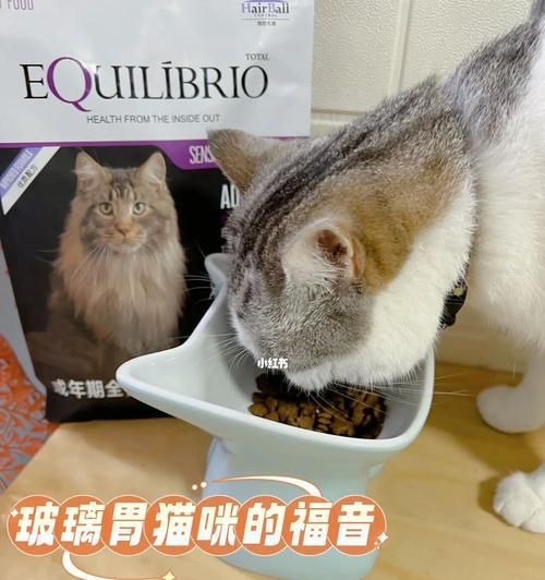 揭秘猫咪食物过敏源排行榜（探究猫咪食物过敏的罪魁祸首）