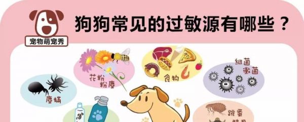 揭秘猫咪食物过敏源排行榜（探究猫咪食物过敏的罪魁祸首）