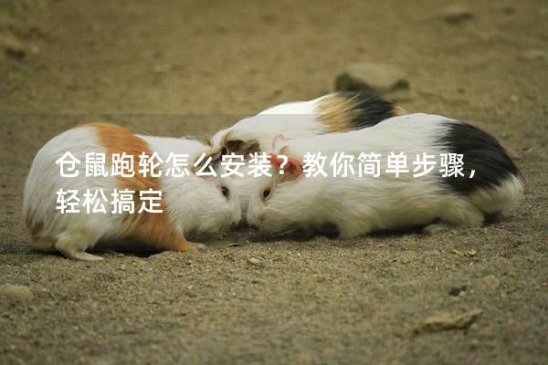 仓鼠跑轮怎么安装？教你简单步骤，轻松搞定
