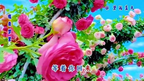 又发现一首好歌，非常好听，歌声悠扬，听着舒服，值得收藏！