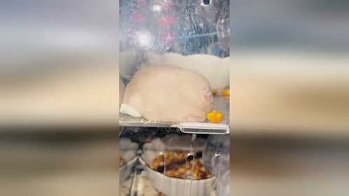 玩得累趴下了～