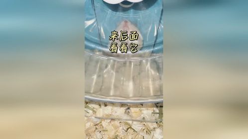 我的宝不爱我了吗？