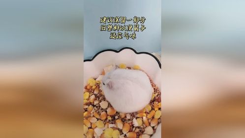 虽小事情讲究起来还真不少