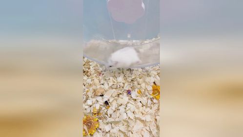 日常锻个炼