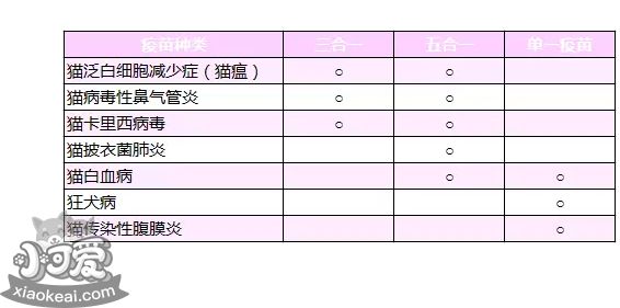 小猫需要打哪些疫苗 看这一篇就够了
