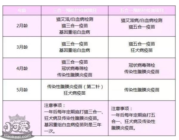 小猫需要打哪些疫苗 看这一篇就够了
