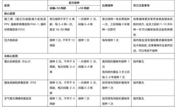 宠物猫咪打疫苗的重要性（了解疫苗接种的要点，为爱宠保驾护航）