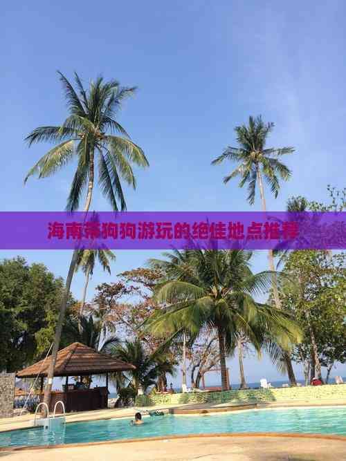海南带狗狗游玩的绝佳地点推荐