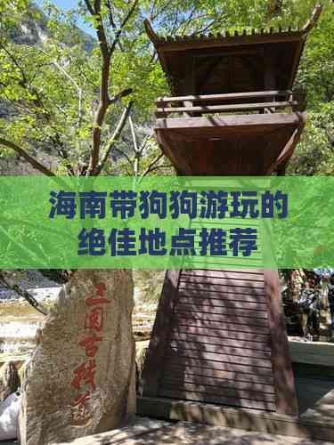 海南带狗狗游玩的绝佳地点推荐