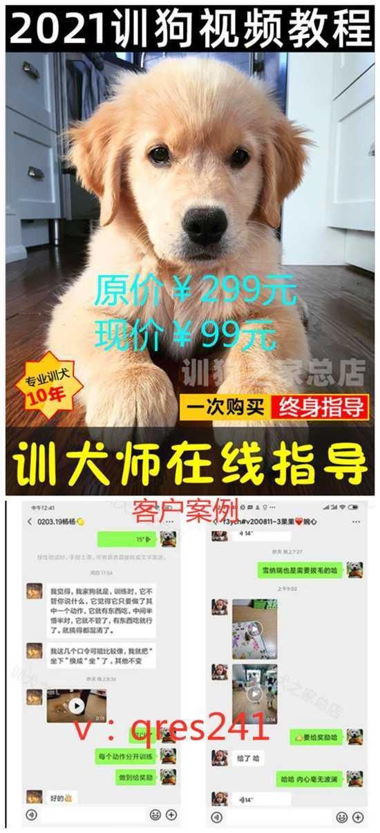 宠物DIY:狗窝制作攻略+训狗技巧,快来学!