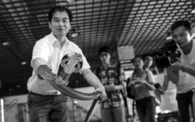 暑假去长沙生态动物园 可体验“人蛇共舞”