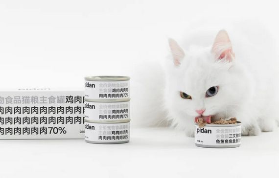 为肠胃敏感的猫咪研发｜pidan Daily 