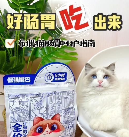 猫咪敏感性肠胃应该吃什么猫粮？（选择猫咪敏感性肠胃适用的猫粮，让猫咪的健康更好）