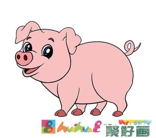 小猪简笔画彩色小猪简笔画画法