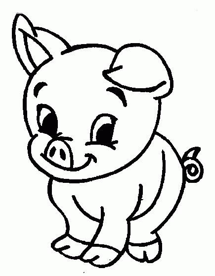 小猪动物简笔画