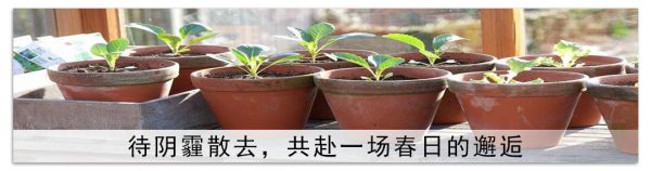 点击查看高清原图
