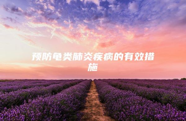预防龟类肺炎疾病的有效措施