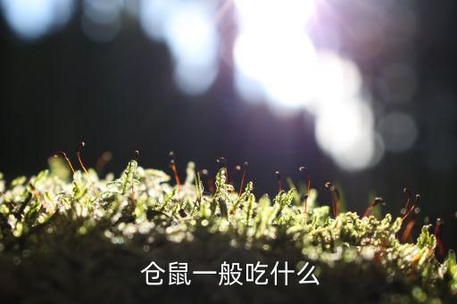  仓鼠一般吃什么