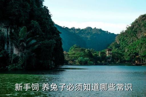  新手饲 养兔子必须知道哪些常识