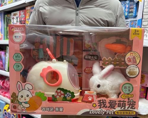 女孩子养什么宠物好？（选择合适的宠物陪伴生活）