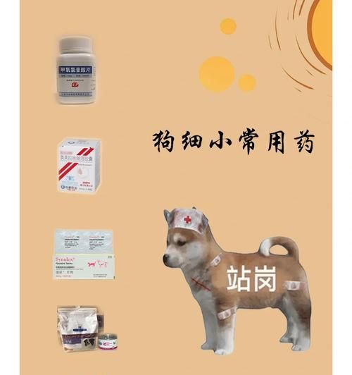 以细小自己治疗的药物选择（细小自我疗愈的有效药物探索与应用）