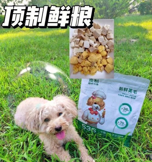 幼犬能否食用成年狗粮？（营养需求、适宜时期与饮食习惯）