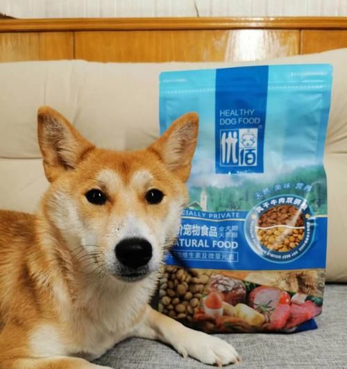 幼犬能否食用成年狗粮？（营养需求、适宜时期与饮食习惯）
