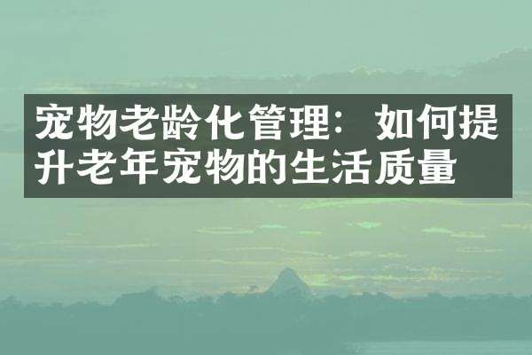 宠物老龄化管理：如何提升老年宠物的生活质量