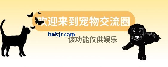 猫狗食谱app宠物交流圈