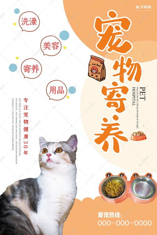 宠物救助指南,里的温暖角落