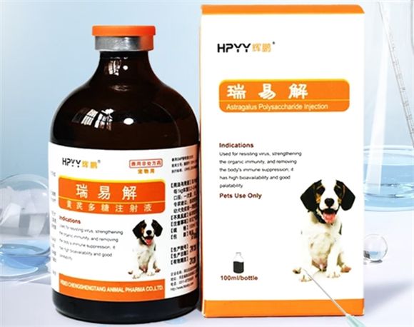 辉鹏瑞易解黄芪多糖注射液：宠物疫苗免疫的实用营养保障