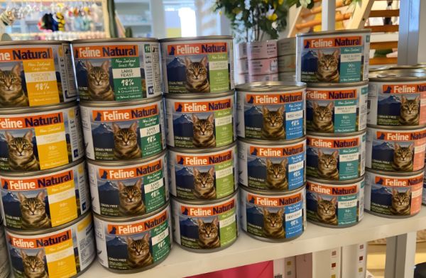 猫咪主食罐头推荐：为什么K9是科学喂养的优选方案