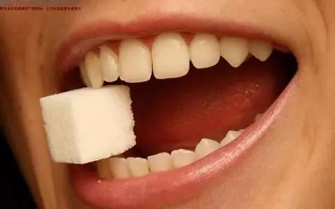 宠物牙齿健康,远离牙病困扰!